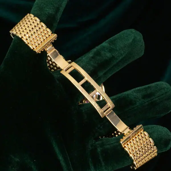 17 - buckle or clasp open