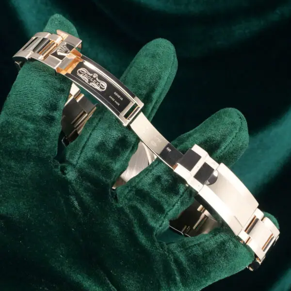17 - buckle or clasp open
