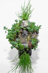 H. Moser & Cie Nature Watch 8327-1200