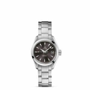 Omega Seamaster Aqua Terra 150M Co-Axial 30 Stainless Steel / Grey / Bracelet 231.10.30.20.06.001