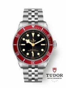 Tudor Black Bay Master Chronometer Stainless Steel - Burgundy / Black / Jubilee 7941A1A0RU-0003