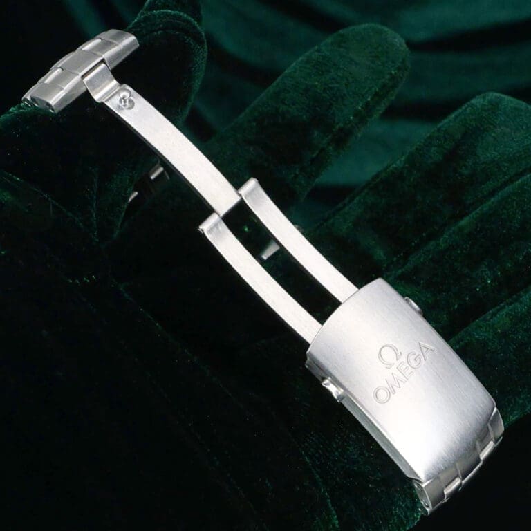 17 - buckle or clasp open
