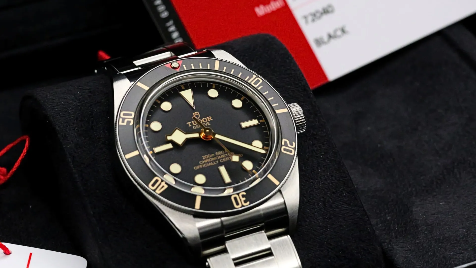 Tudor Black Bay