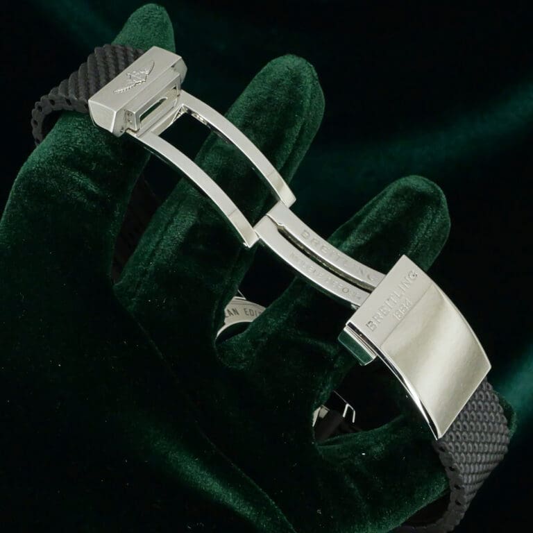 17 - buckle or clasp open