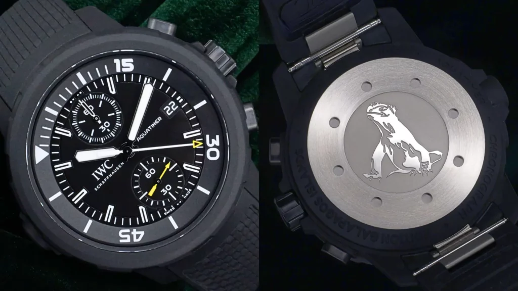 Close-up of IWC Aquatimer Chronograph black DLC case with black dial beside Galapagos Islands marine iguana caseback engraving on green velvet