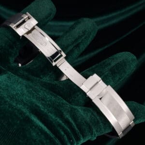 17 - buckle or clasp open