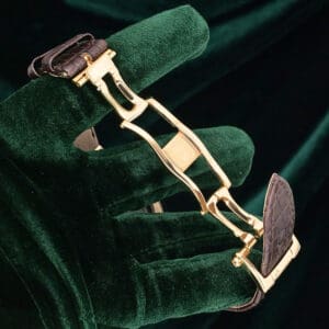 17 - buckle or clasp open